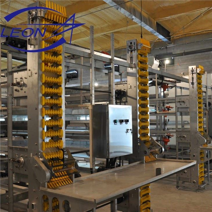Advantages Of H Shape Layer Cages Advantages Of H Shape Layer Cages