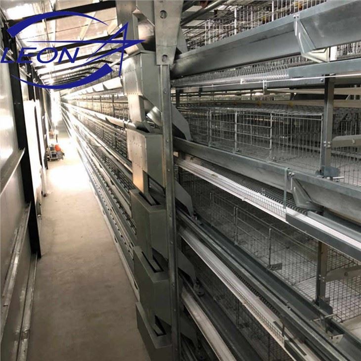 Advantages Of H Shape Layer Cages Advantages Of H Shape Layer Cages