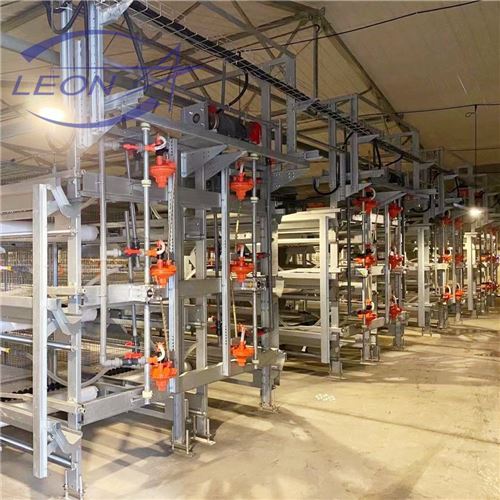 Chicken Cage H Type Broiler House System Poultry Farming