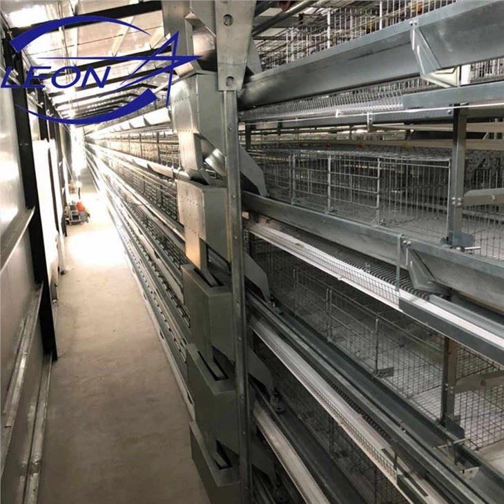 Feeding And Drinking in Poultry Cage System