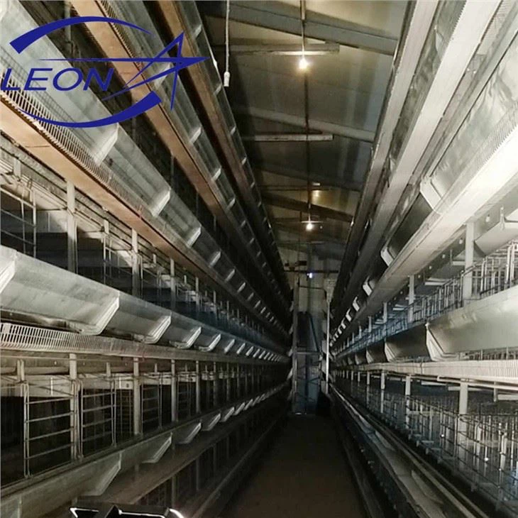 Feeding And Drinking in Poultry Cage System