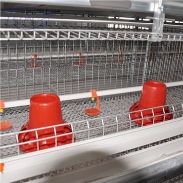 Il-Gaġġa tal-Broilers tat-Tip H Awtomatika Sħiħa għall-2021