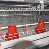 Il-Gaġġa tal-Broilers tat-Tip H Awtomatika Sħiħa għall-2021
