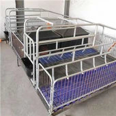 Ħanżira Ġestazzjoni Sodda Galvanizzat Ħnieżer Farrowing Crates Pinna Majjal Flooring Stall Farrowing Bed Ħnieżer Tagħmir għall-bejgħ