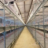Sistema tal-gaġeġ tal-brojlers tat-tip H