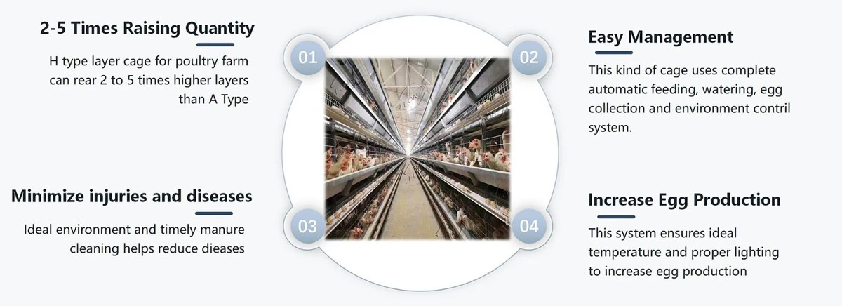 Galvanized H Shape Layer Cages 7 Galvanized H Shape Layer Cages 7